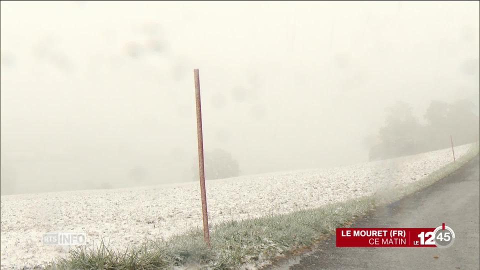 Premières neiges de la saison à Fribourg