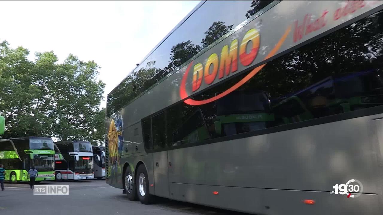 Domo Swiss Express: Nouvelles lignes de bus low cost