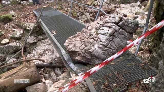 Jura bernois: le sentier pédestre le plus connu de la région dévasté par la tempête Eleanor