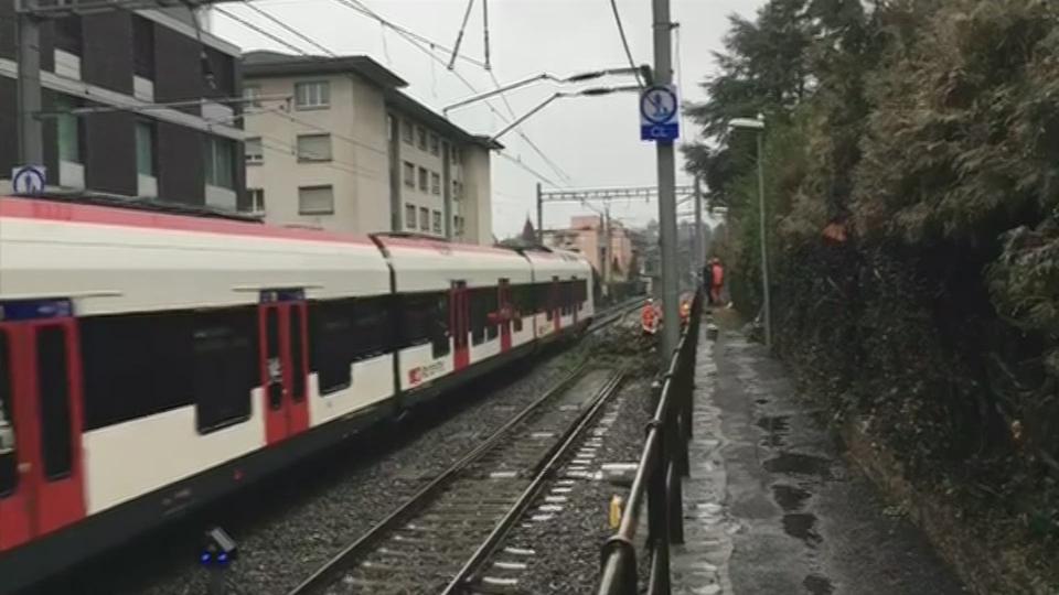 Chute de branches sur des rails à proximité de Clarens