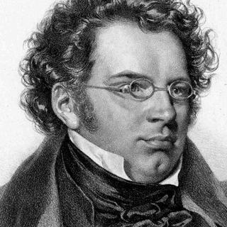Franz Schubert. [wikipedia]
