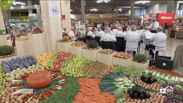 À l'heure du bilan, les exposants du Comptoir suisse à Lausanne font la grimace.