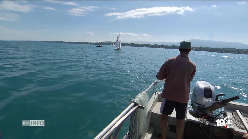 Les poissons de nos lacs se raréfient. Les pêcheurs tirent la sonnette d'alarme.