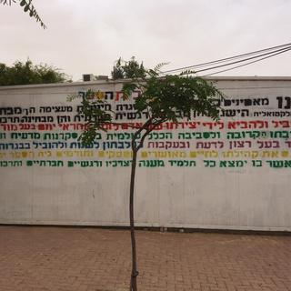 Dans l'école des quatre villages bédouins, commune de Mitzpe Ramon, Israël - Judith Chétrit - RTS [RTS - Judith Chétrit]