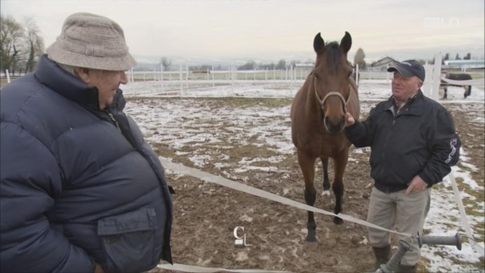 VD - Cause toujours: un briquet est un cheval en patois