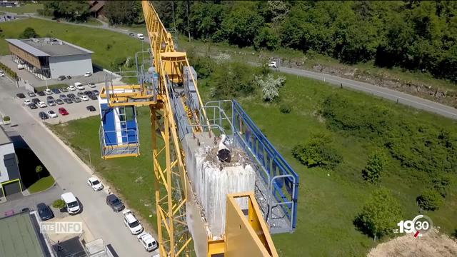 A Porrentruy, un couple de cigognes a construit son nid au sommet d'une grue de chantier