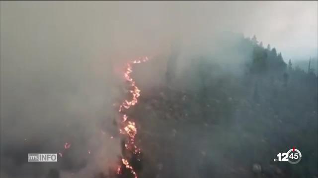 Vague de chaleur en Suède : le pays fait face à de violents incendies  Depuis mercredi dans les forêts du centre de la Suède jusqu’en Laponie