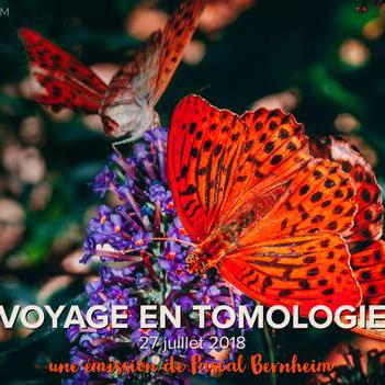 Voyage en tomologie [Pascal Bernheim]