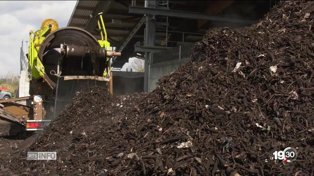 Recyclage: toujours trop de plastique dans le compost