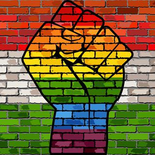 Signe de protestation de la communauté LGBT sur un mur hongrois - dusica69 - fotolia [fotolia - dusica69]