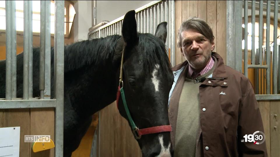 Armée suisse: moins de chevaux pour faire des économies