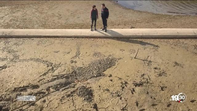 Lac de Bret (VD): le niveau est si bas qu'une promeneuse s'est enlisée. Attention danger !