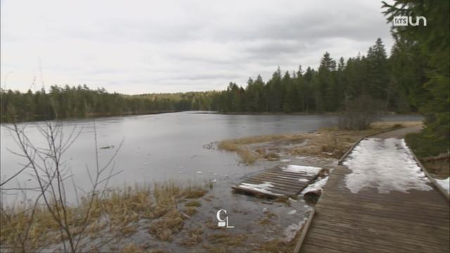 JU: l'étang de la Gruère se développe depuis 12'000 ans