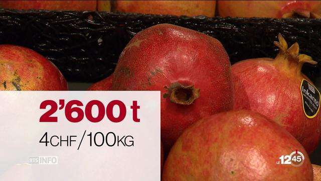 Les agriculteurs suisses opposés à la suppression des droits de douane à l'importation sur les fruits exotiques