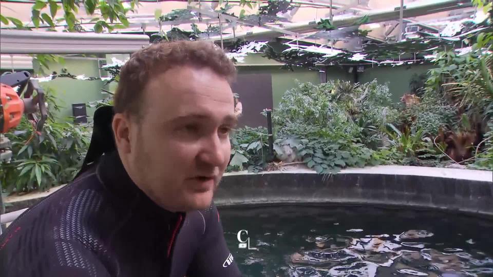 Adrien Martinotti explique le métier de soigneur spécialisé en aquariologie