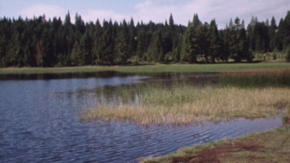 Les étangs du Jura