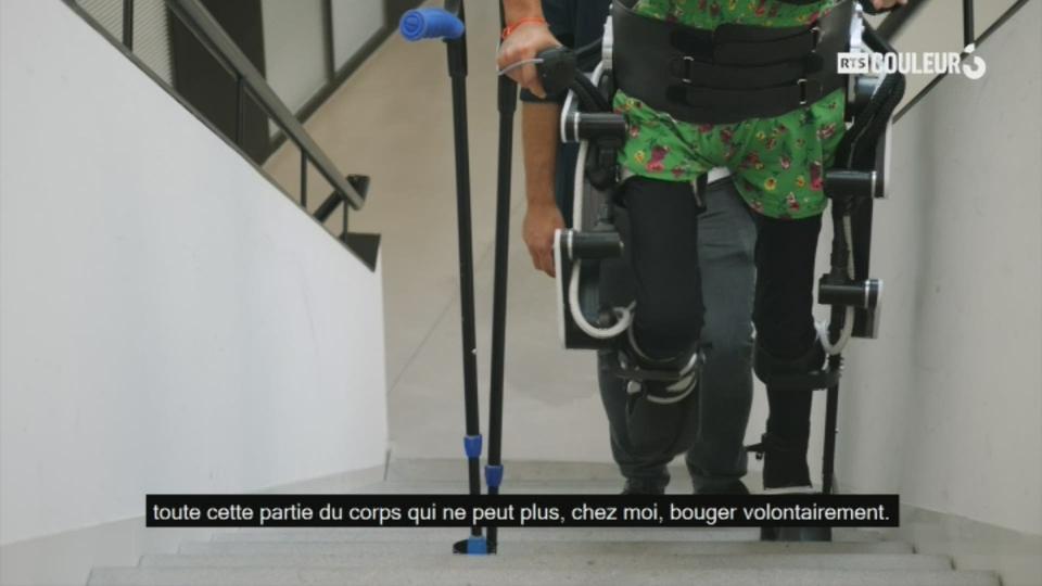 Espèce En Voie d'Evolution - Exosquelette