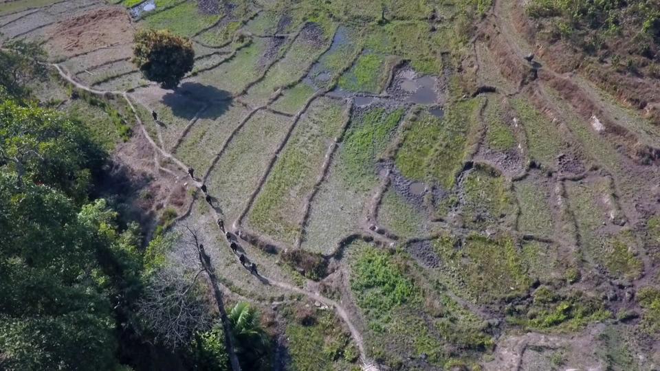 J'ai vécu dans la jungle