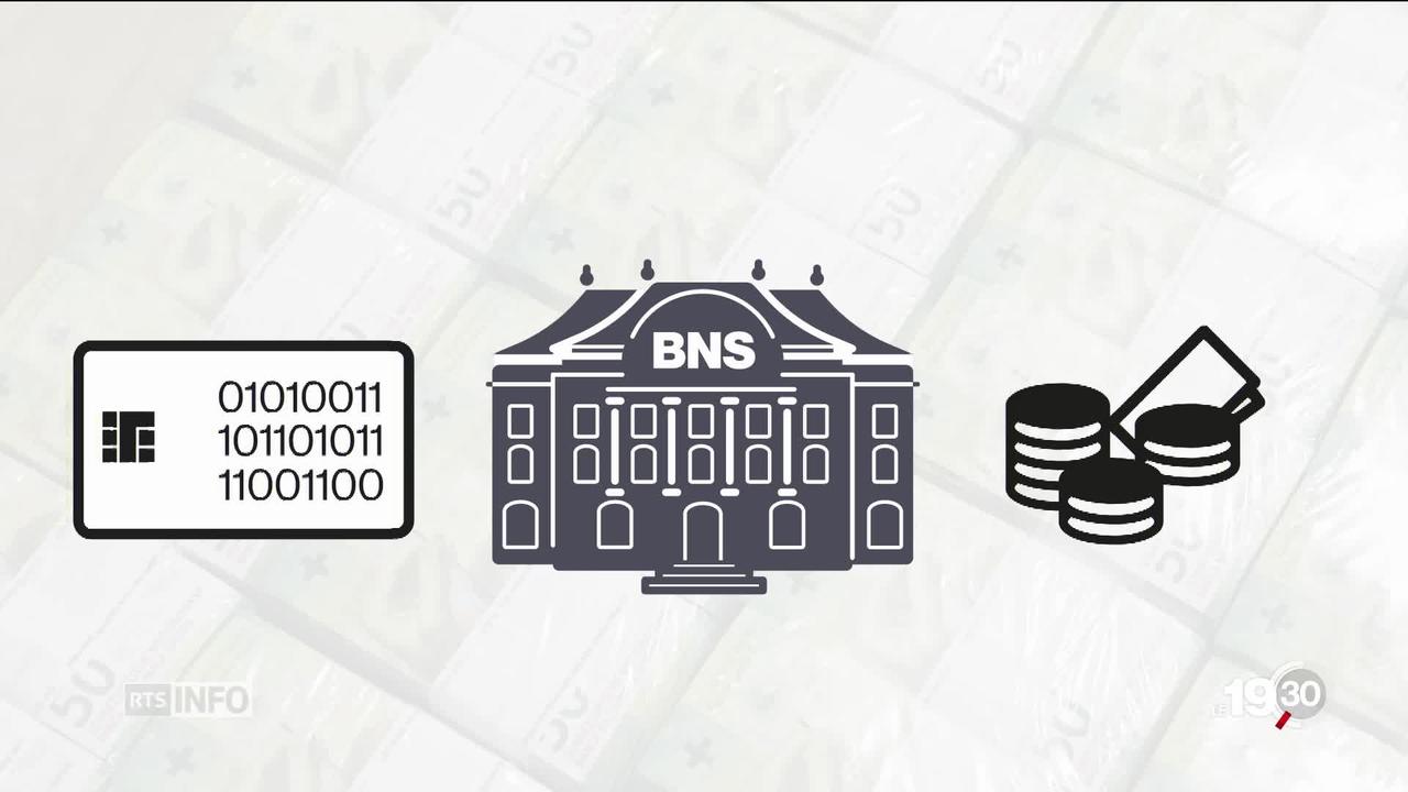 Initiative "monnaie pleine": tous pouvoirs à la BNS