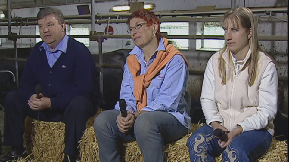 Combats de reines, la passion dans l'arène: des vaches et des hommes