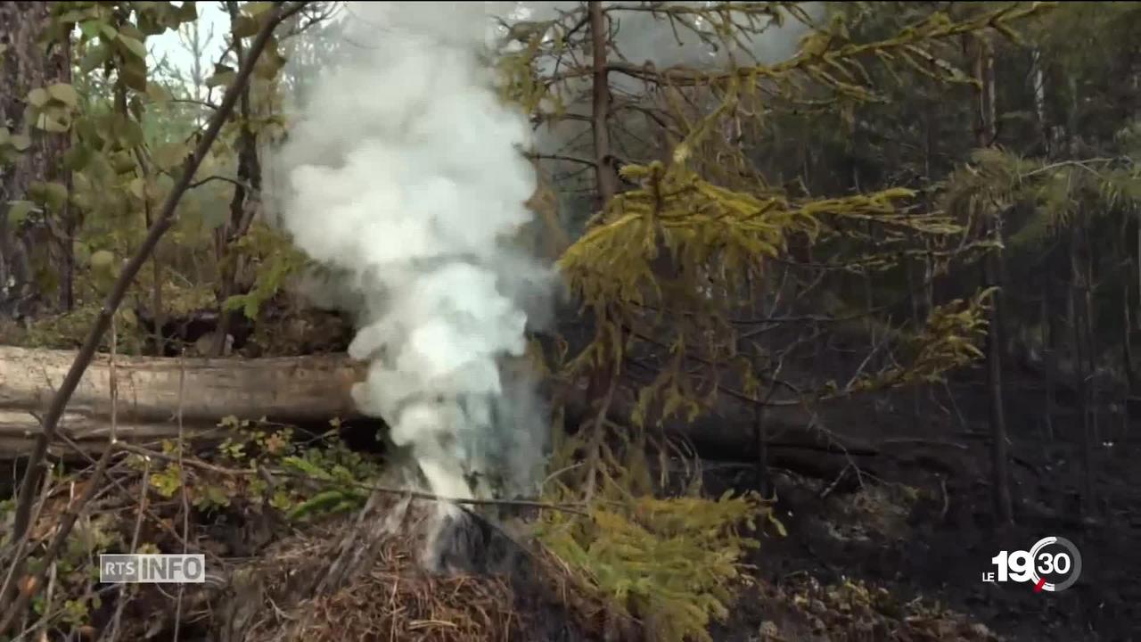 2500 hectares de forêts suédoises sont parties en fumée à cause de la vague de chaleur