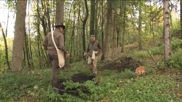 On est en pleine saison des truffes. Valérie Dupont a suivi un acheteur suisse sur le marché d'Alba