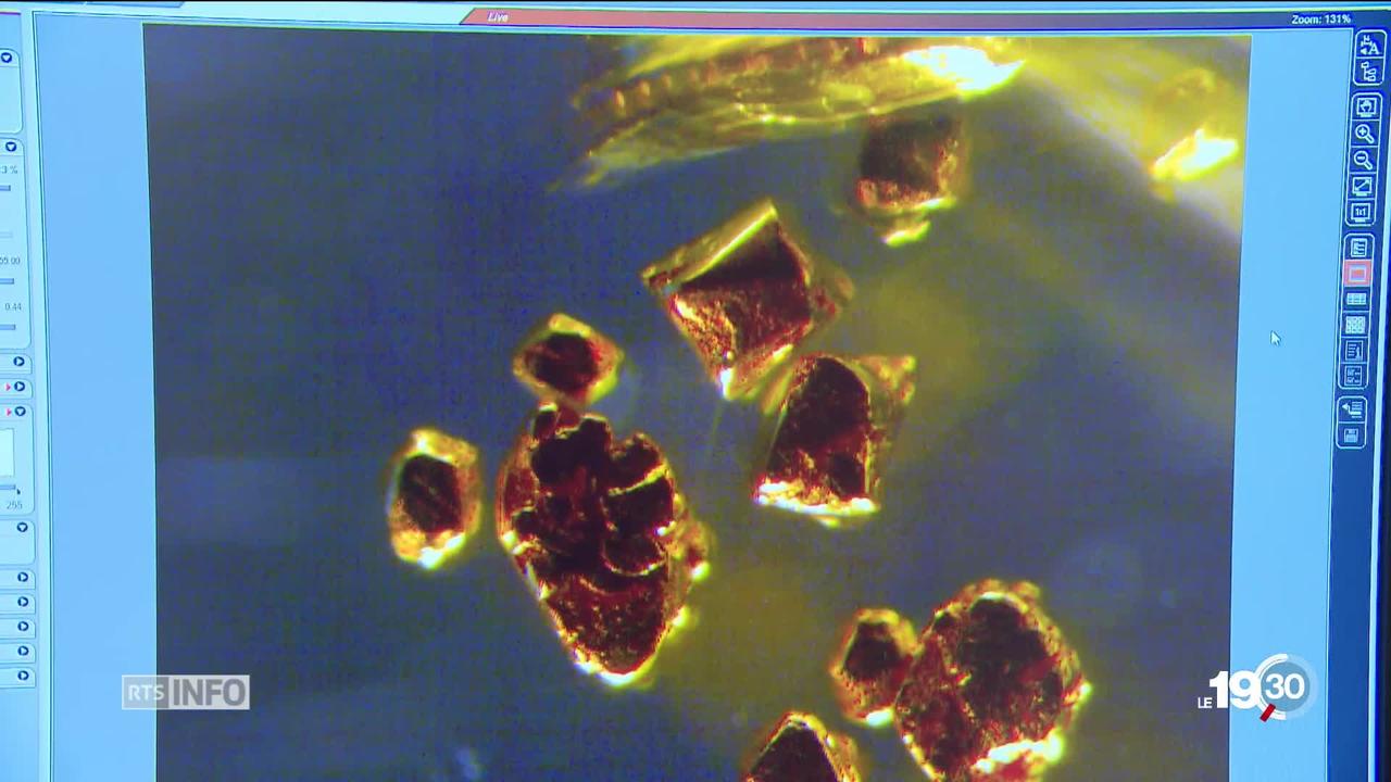 Une découverte de l'EPFL permet de capturer de l'or dans de grandes quantités de liquides. Jusque dans nos égouts