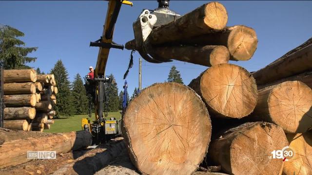 Les restructurations de CFF Cargo a de nombreuses conséquences négatives