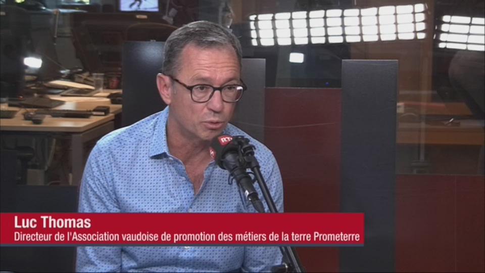 L'invité de la rédaction (vidéo) - Luc Thomas, directeur de Prométerre