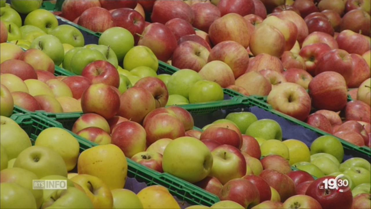 Pommes et poires: Vers une rupture de stock