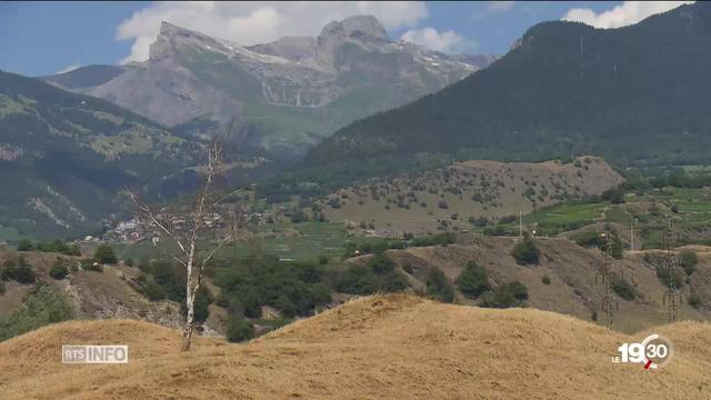 Sécheresse : La Suisse est durement touchée par la sécheresse et les appels à la prudence se multiplient