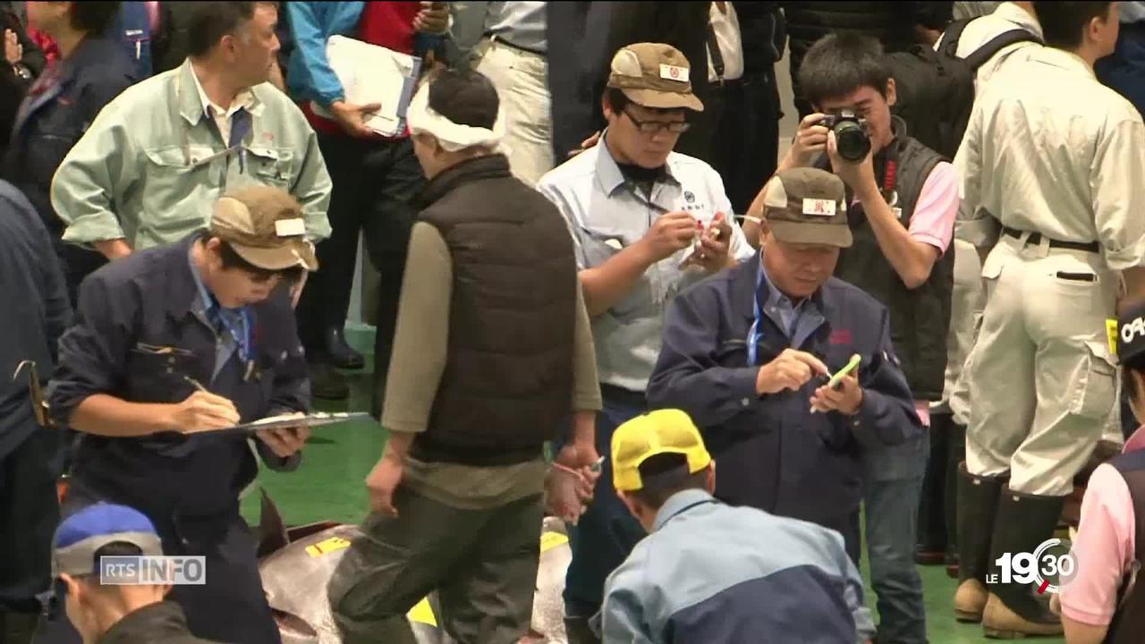 Controverse sur le nouveau marché aux poissons de Tokyo construit sur un site pollué.