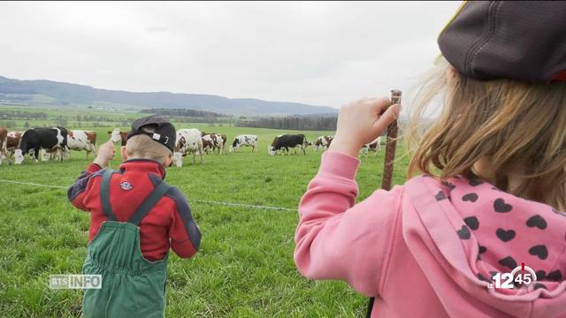 La tendance bio est particulièrement forte dans le canton du Jura