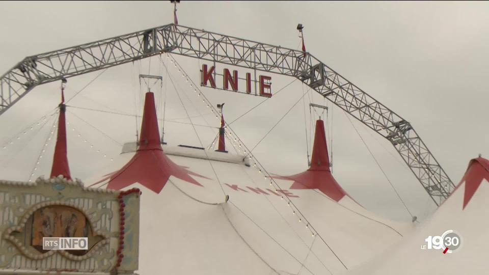 Le Cirque Knie se lance dans le financement participatif. Une stratégie qui étonne.