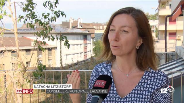 Toits végétalisés: subventions augmentées à Lausanne