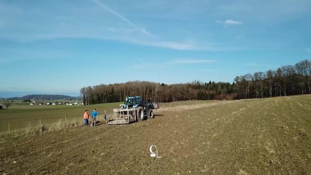 "Jeune pousse": l?agro?cologie aide les agriculteurs ? favoriser la biodiversit? et ? limiter les pesticides Reportage ? Bulle (FR)