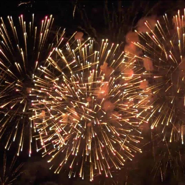 Les feux d'artifices de Genève réjouissent 400'000 paires d'yeux. un spectable pyrotechnique haut en couleurs