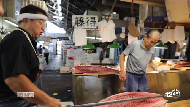 Tokyo délocalise son historique marché aux poissons pour cause d'infrastructures olympiques