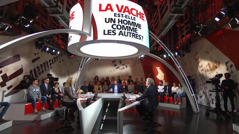 Spécial votation - La vache est-elle un homme comme les autres?