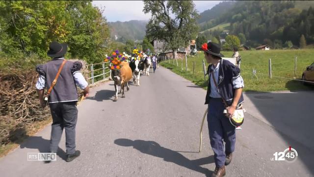 Plus de 12'000 visiteurs ont assisté à la traditionnelle désalpe de Charmey