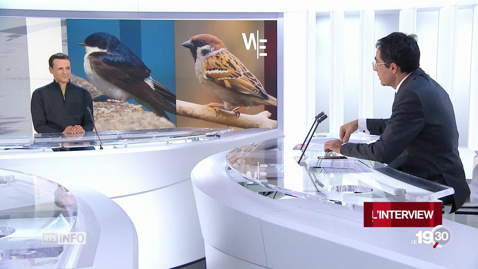 Fondateur de la "Salamandre", Julien Perrot vole au secours de la nature depuis son enfance.