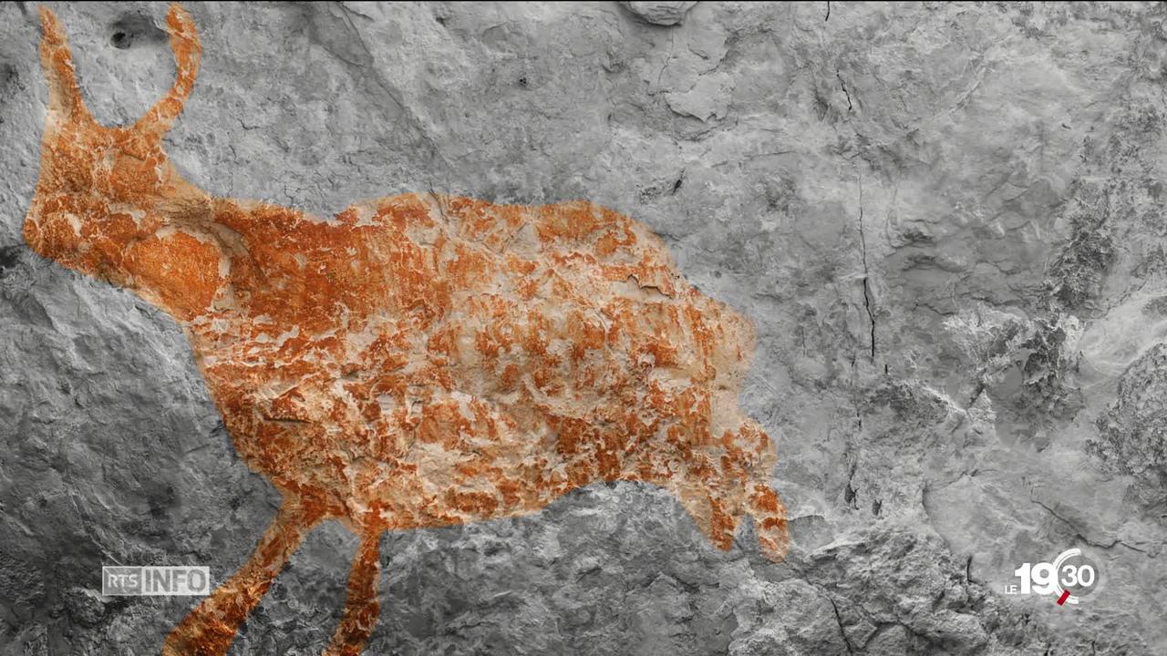 La peinture d'un bovidé datant de 40'000 ans a été découverte dans une grotte de Bornéo.