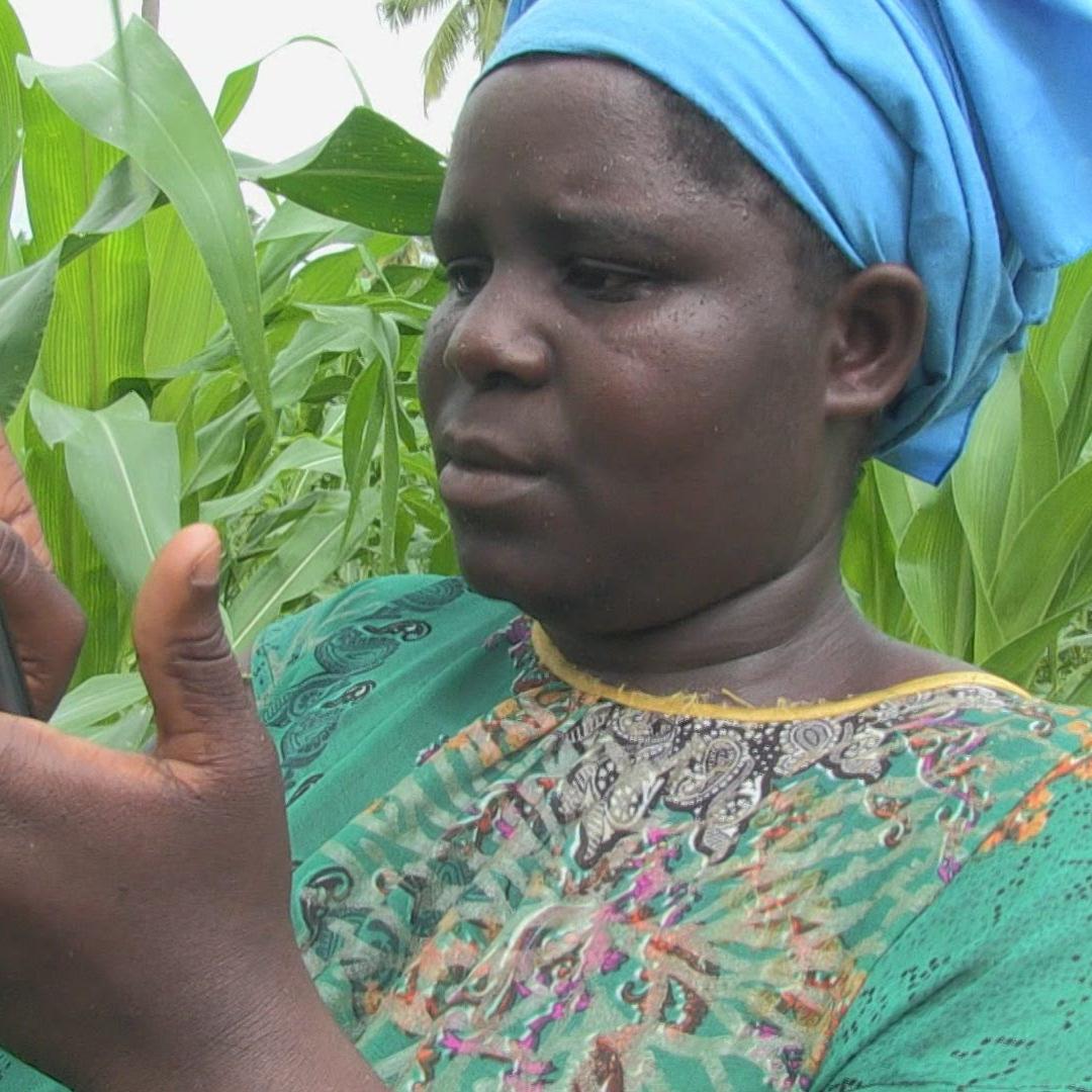 Le smartphone au secours des récoltes en Tanzanie, un projet de Swissaid