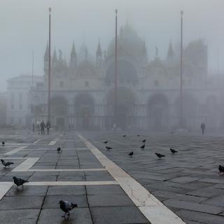 La place vénitienne de San Marco et ses pigeons [Fotolia - Agota]