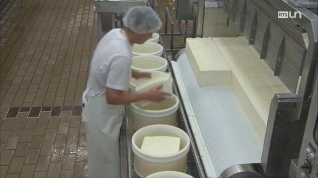 La fabrication du fromage à raclette suisse: production semi-industrielle ou artisanale