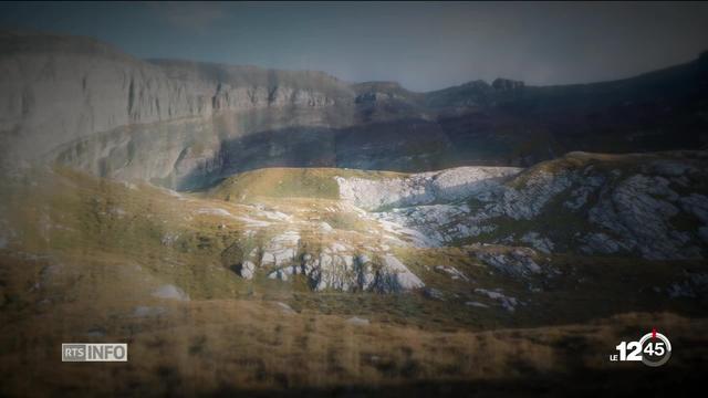 Aux Grisons, 3 louveteaux ont été retrouvés morts par des bergers. Une situation qui intrigue le garde-chasse cantonal