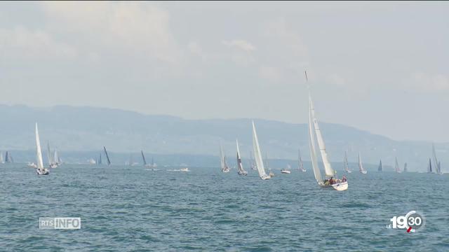 Le 80e Bol d'Or de Genève se déroule en eaux calmes