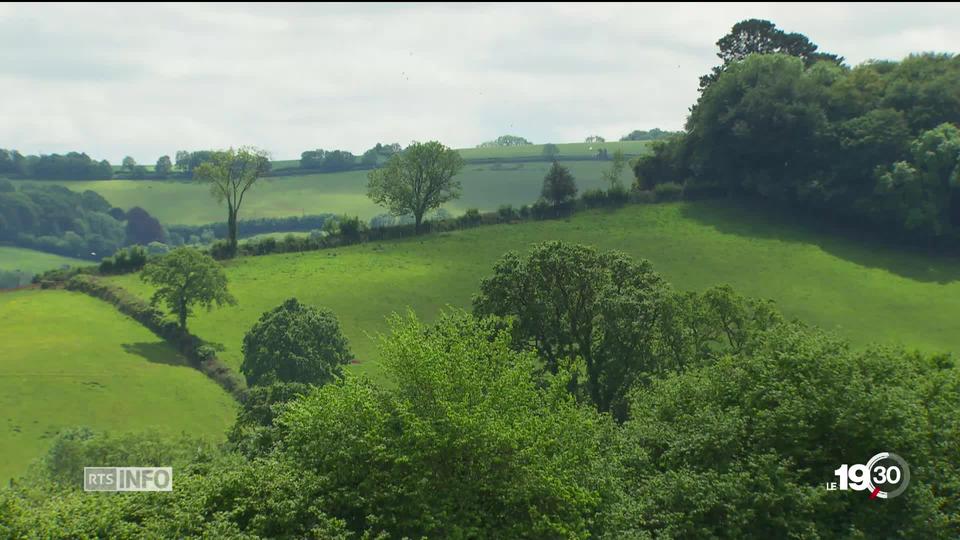 Le petit village britannique de Totnes a été le premier au monde a s'investir pour le climat. Des milliers d'autres ont suivi.