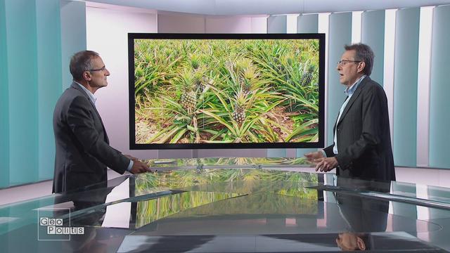 Marc Hufty: "Les accords de Paris ne sont pas suffisants pour agir en Amazonie"