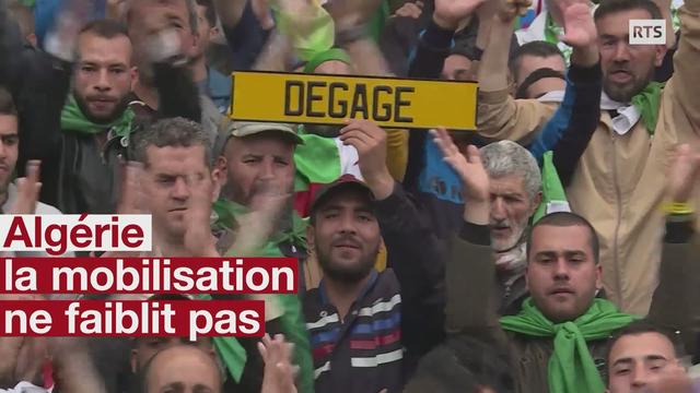 La mobilisation ne faiblit pas en Algérie